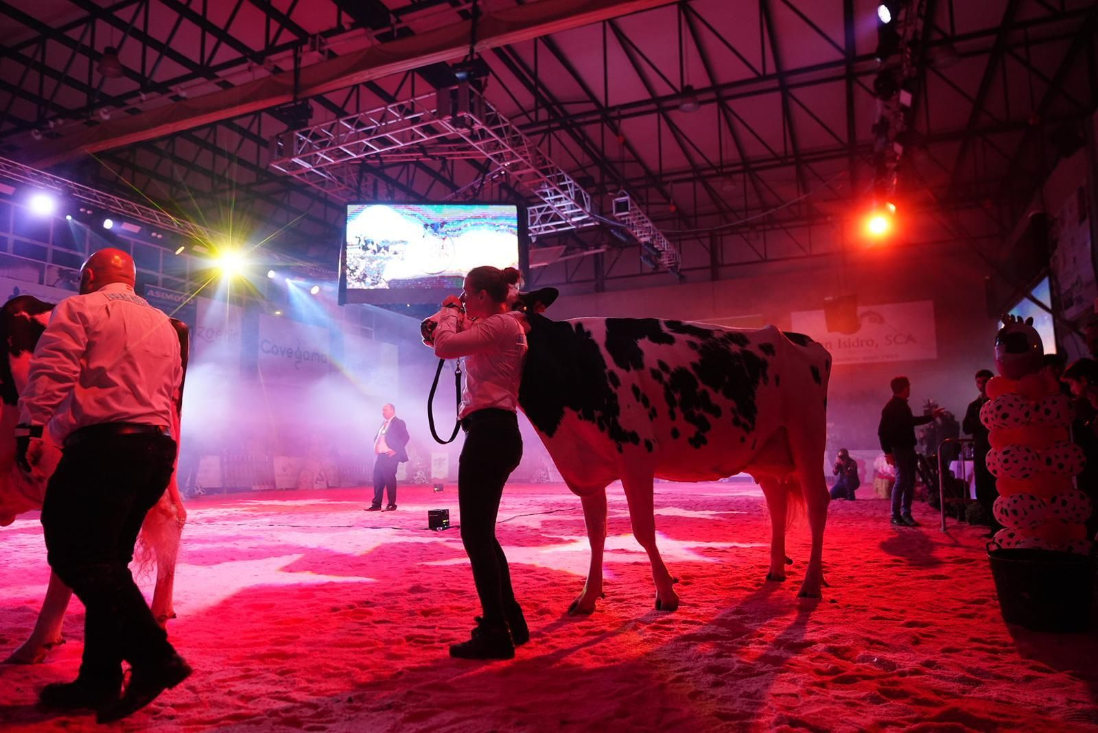 Las imágenes de la última jornada de la XVII Feria del Ganado Frisón de Dos Torres