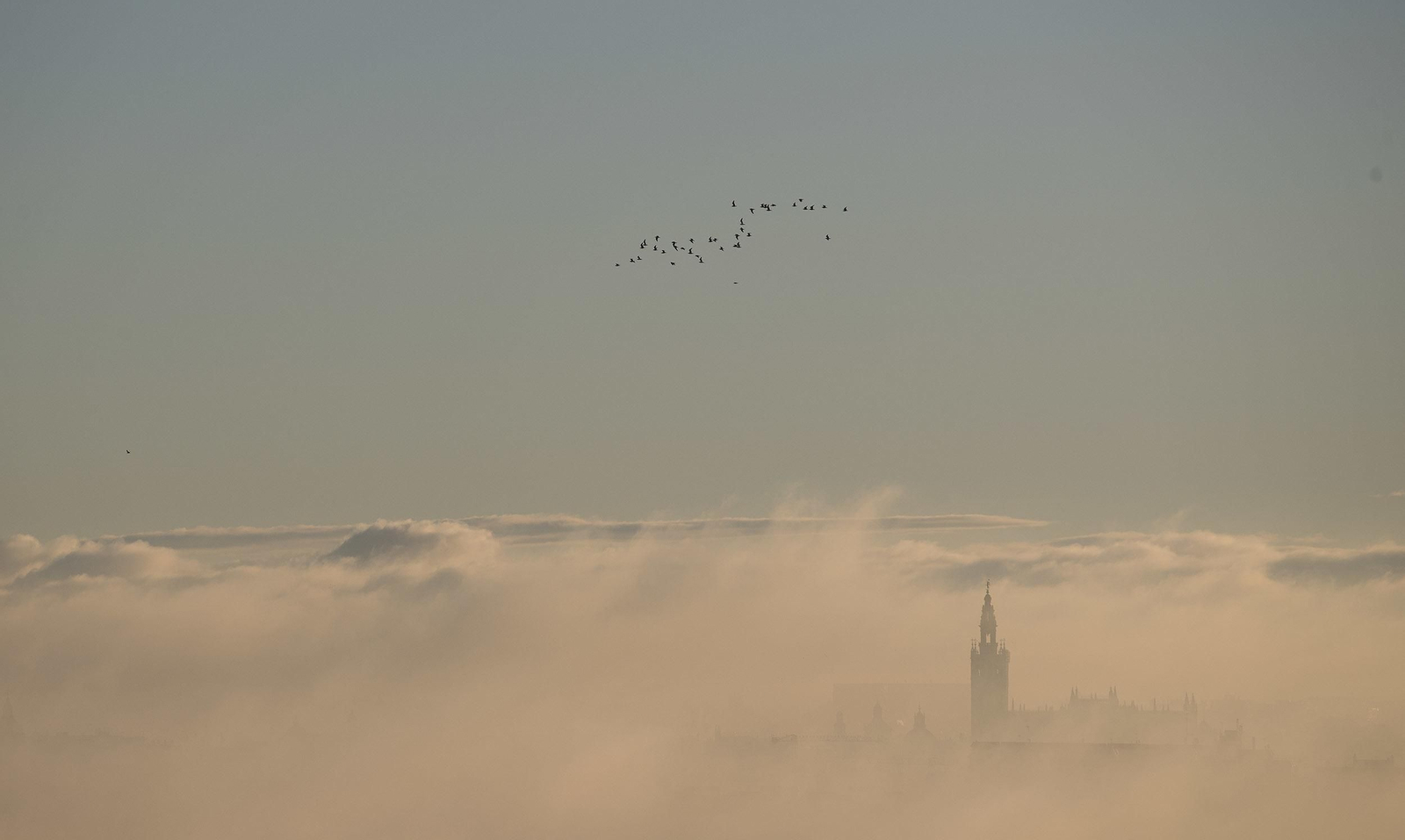 La niebla cubre Sevilla