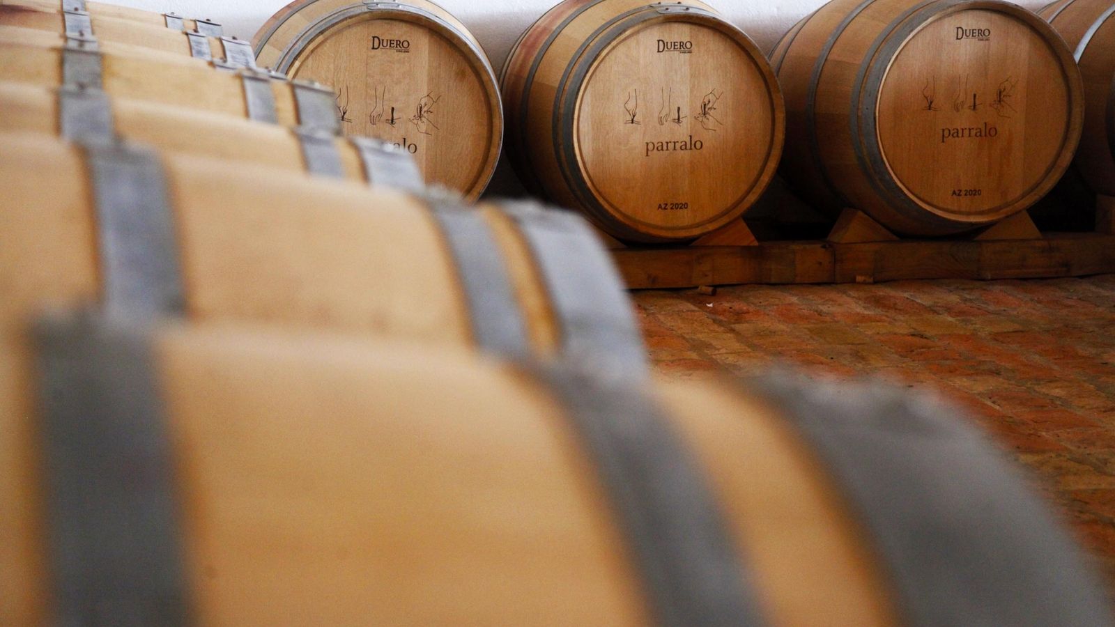 Agrosan elabora sus propios vinos y aceites para dejar en Huelva el valor añadido de sus producciones