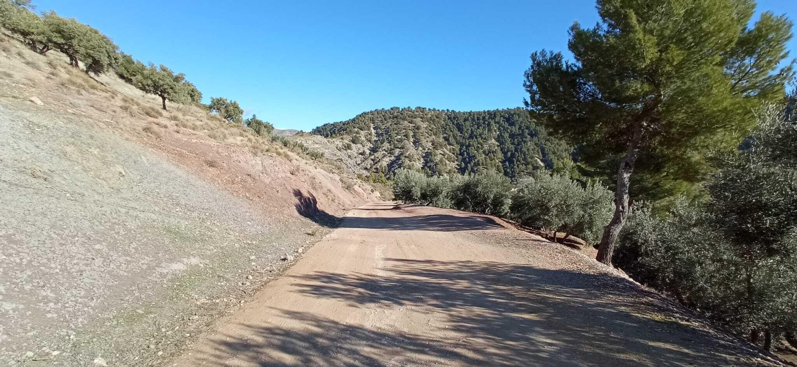 Las imágenes de la ruta del Bosque Encantado de Higueras