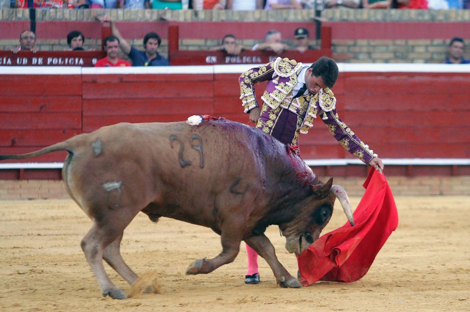 Imágenes de la Novillada de Rafael Serna, Emilio Silvera y Rodrigo Molina.