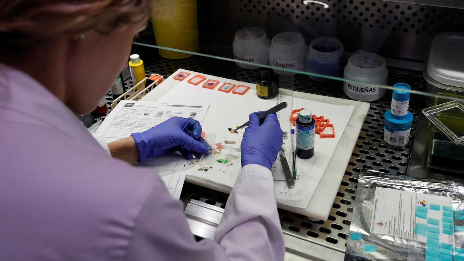 El momento de la selección de la muestra que se va a analizar.