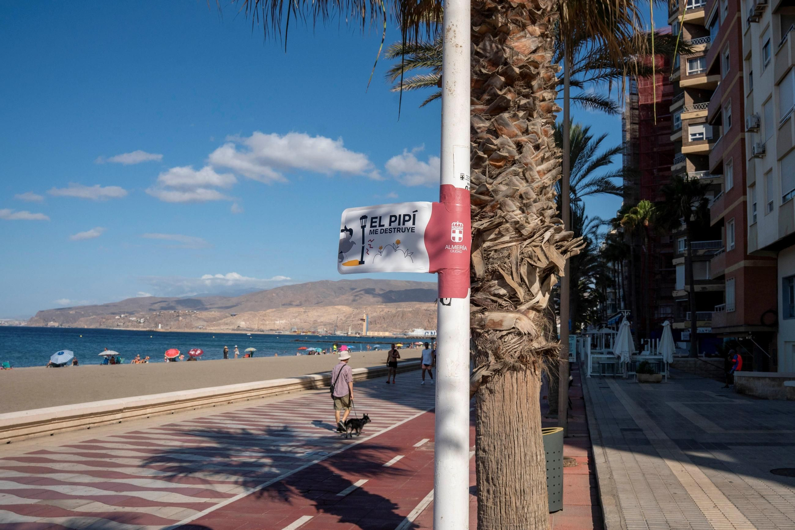 Un hombre pasea con su perro por delante de unas de las farolas donde el Ayuntamiento ha colocado estas banderolas.