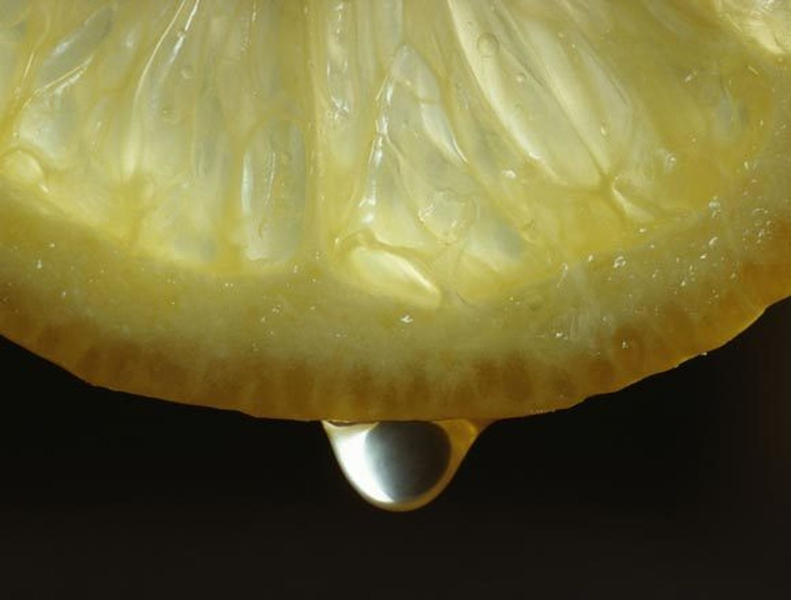 Los excelentes cítricos que produce el Valle del Guadalquivir