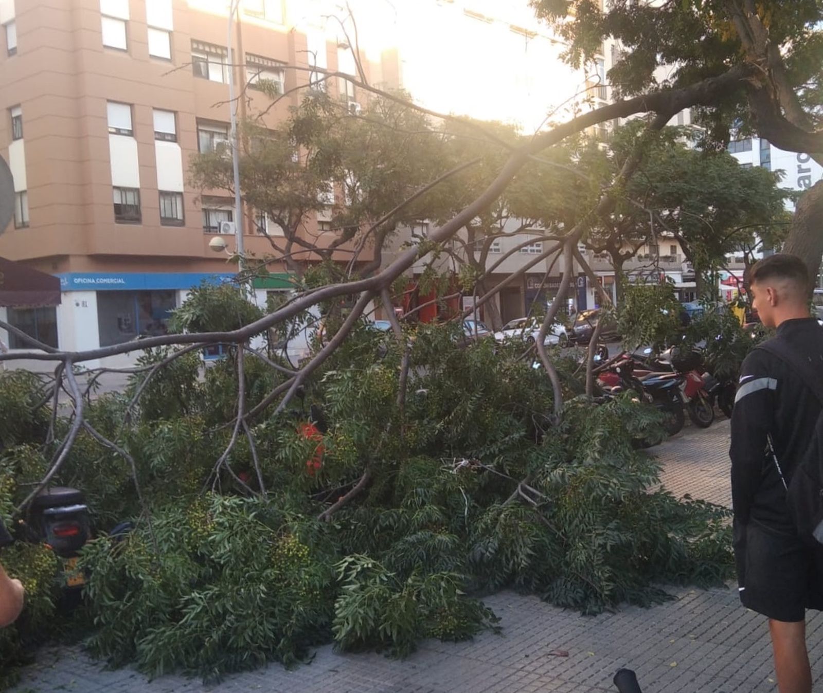 La Divina Providencia contra los colegios concertados