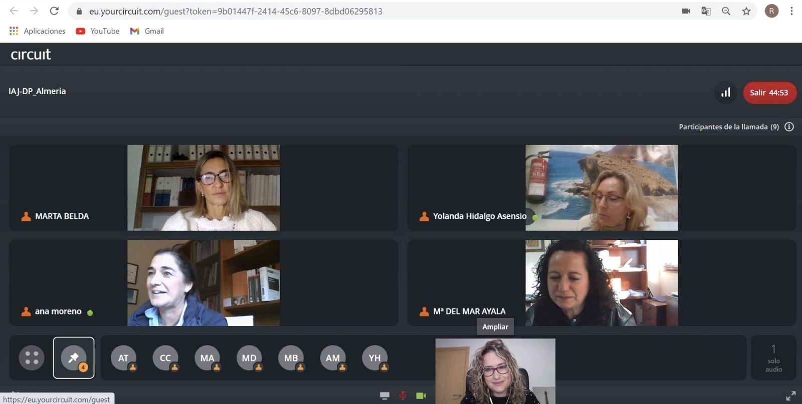 Reunión virtual con los colegios profesionales.