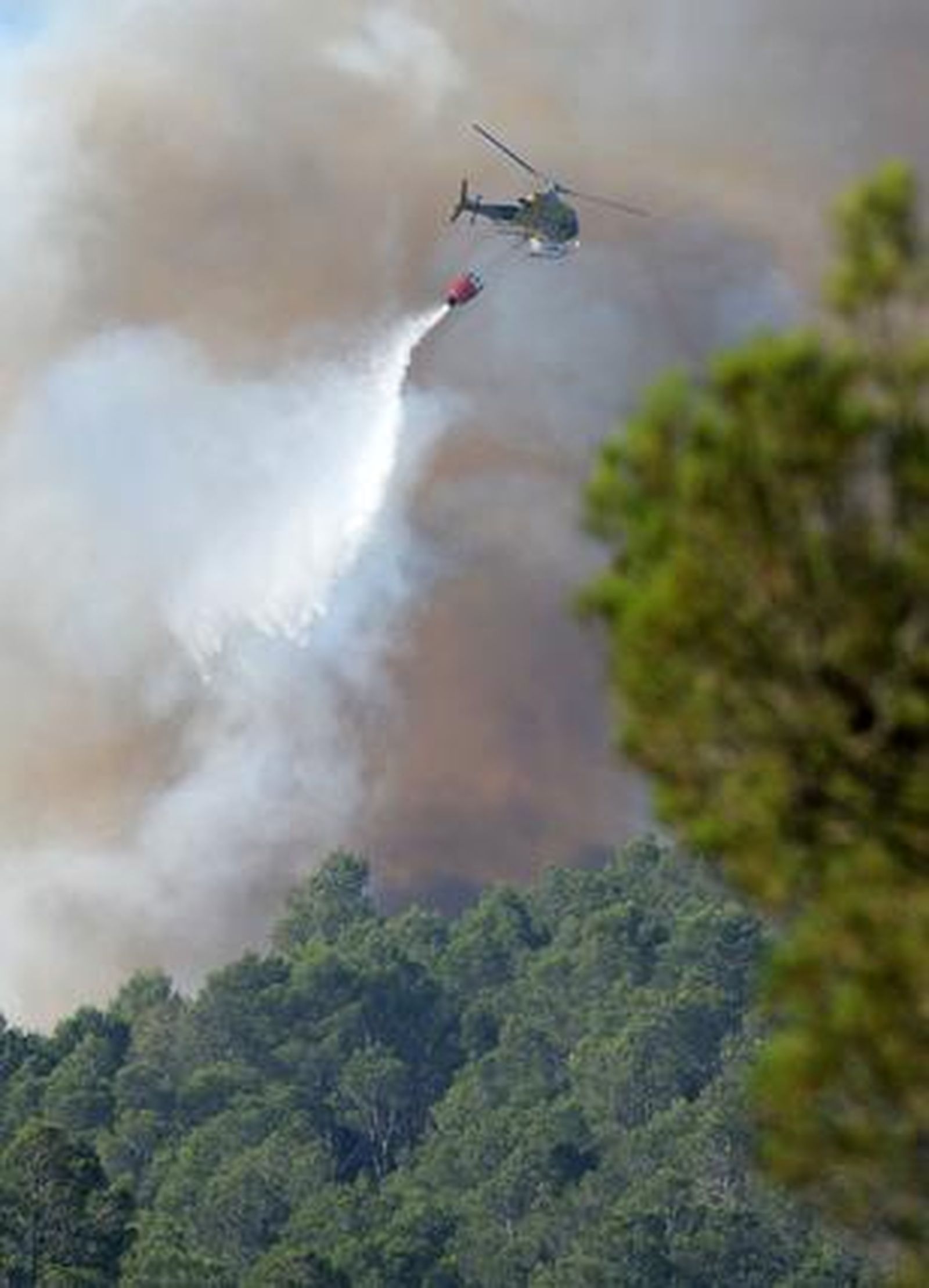 Imágenes del incendio de La Jonquera.

Foto: AFP