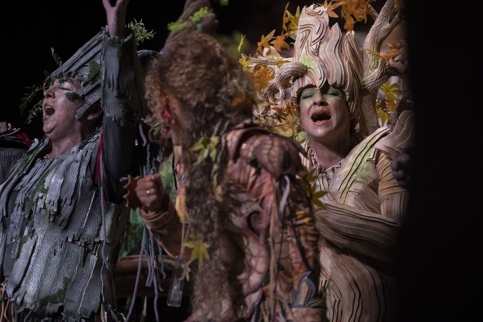 Imágenes de la actuación de la comparsa de Huelva "La vieja verde" en el Carnaval Colombino