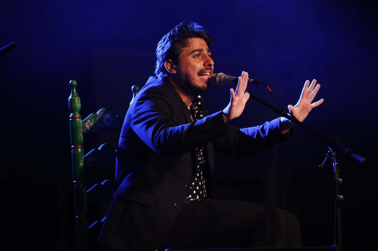 Fotos de la noche flamenca con José Mercé en La Línea