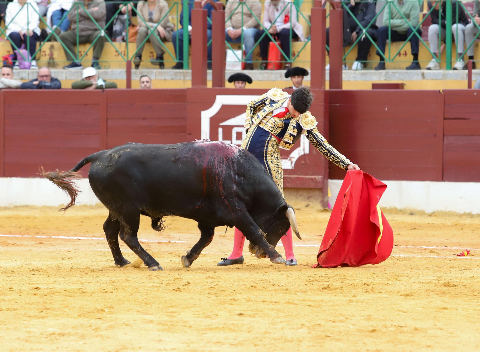 Imágenes de la novillada previa a la Semana Santa en la plaza de toros de La Línea