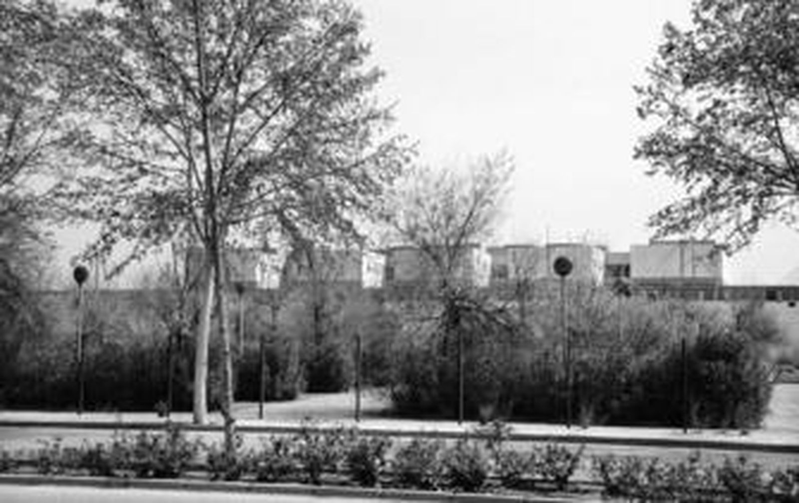 La parcela de la Cartuja donde se prevé situar la mezquita, con fachada a la avenida Carlos III.