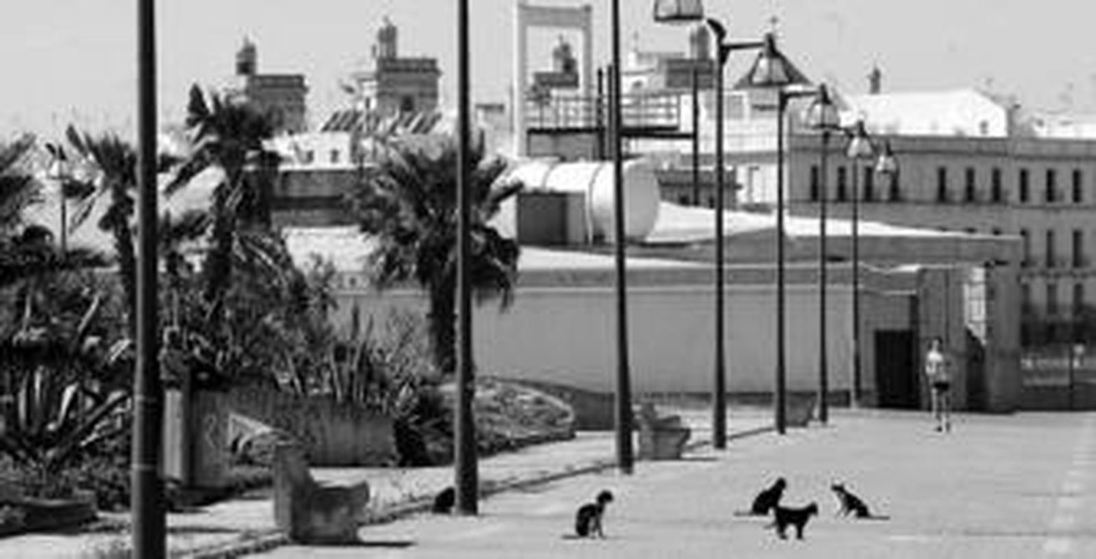 El abandono de la zona es patente en todo el recorrido.
