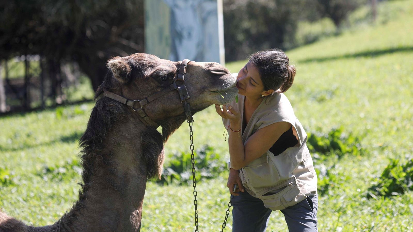 'La Pequeña África' es una reserva animal que se encuentra en Jimena de la Frontera