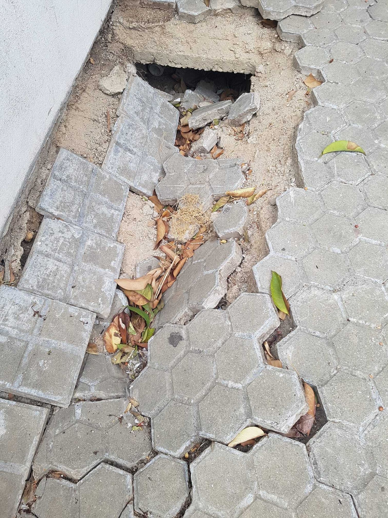 Acera levantada y con grandes huecos.