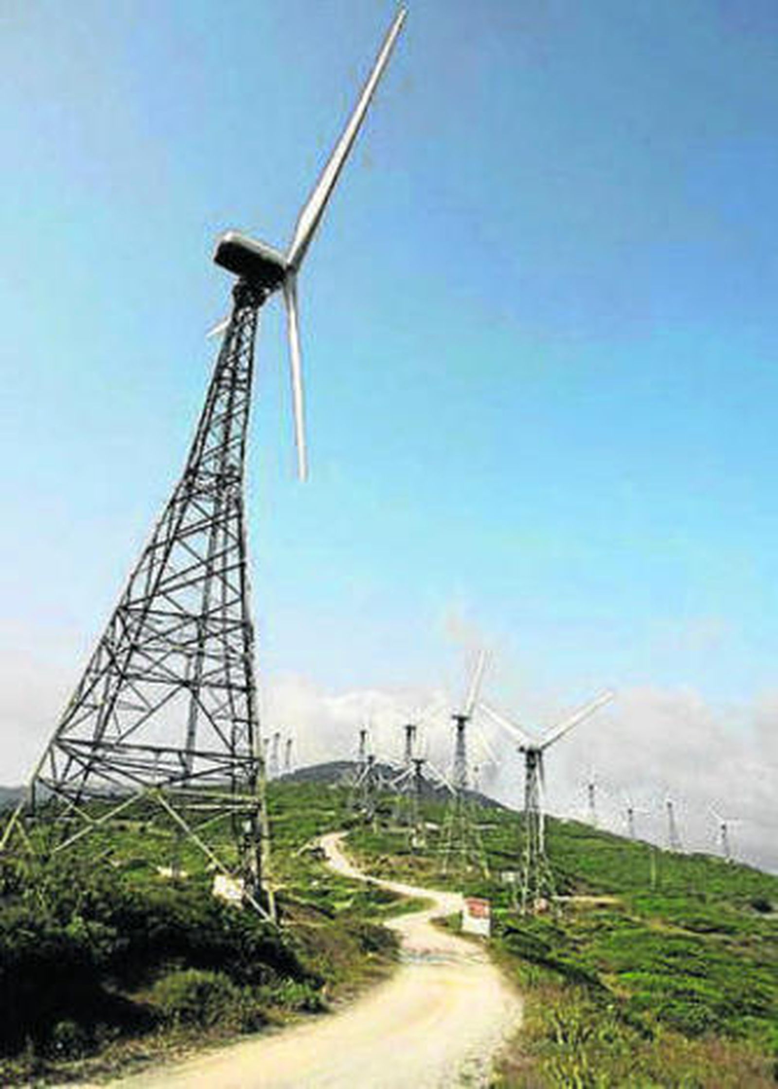 Varios molinos en Tarifa.