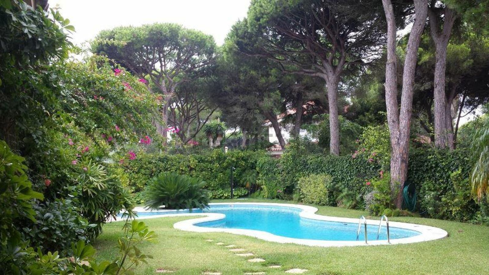 Una piscina rodeada por pinares en Roche.