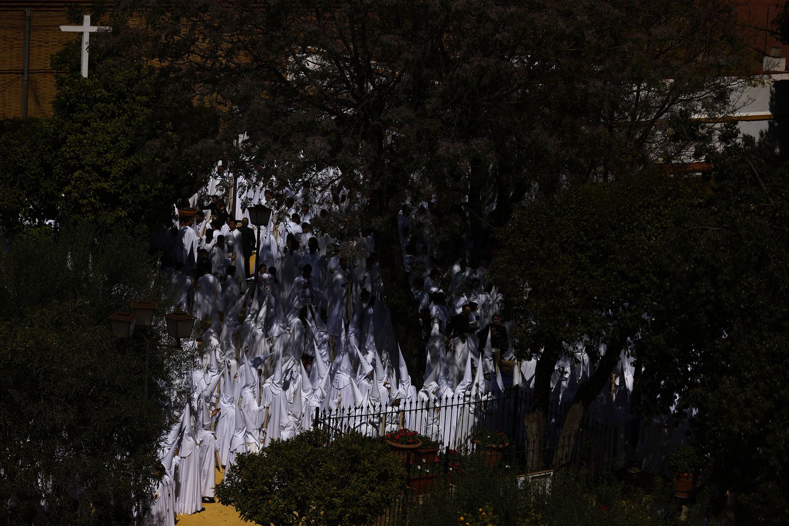 Fotos de La Paz el Domingo de Ramos en la Semana Santa de Sevilla