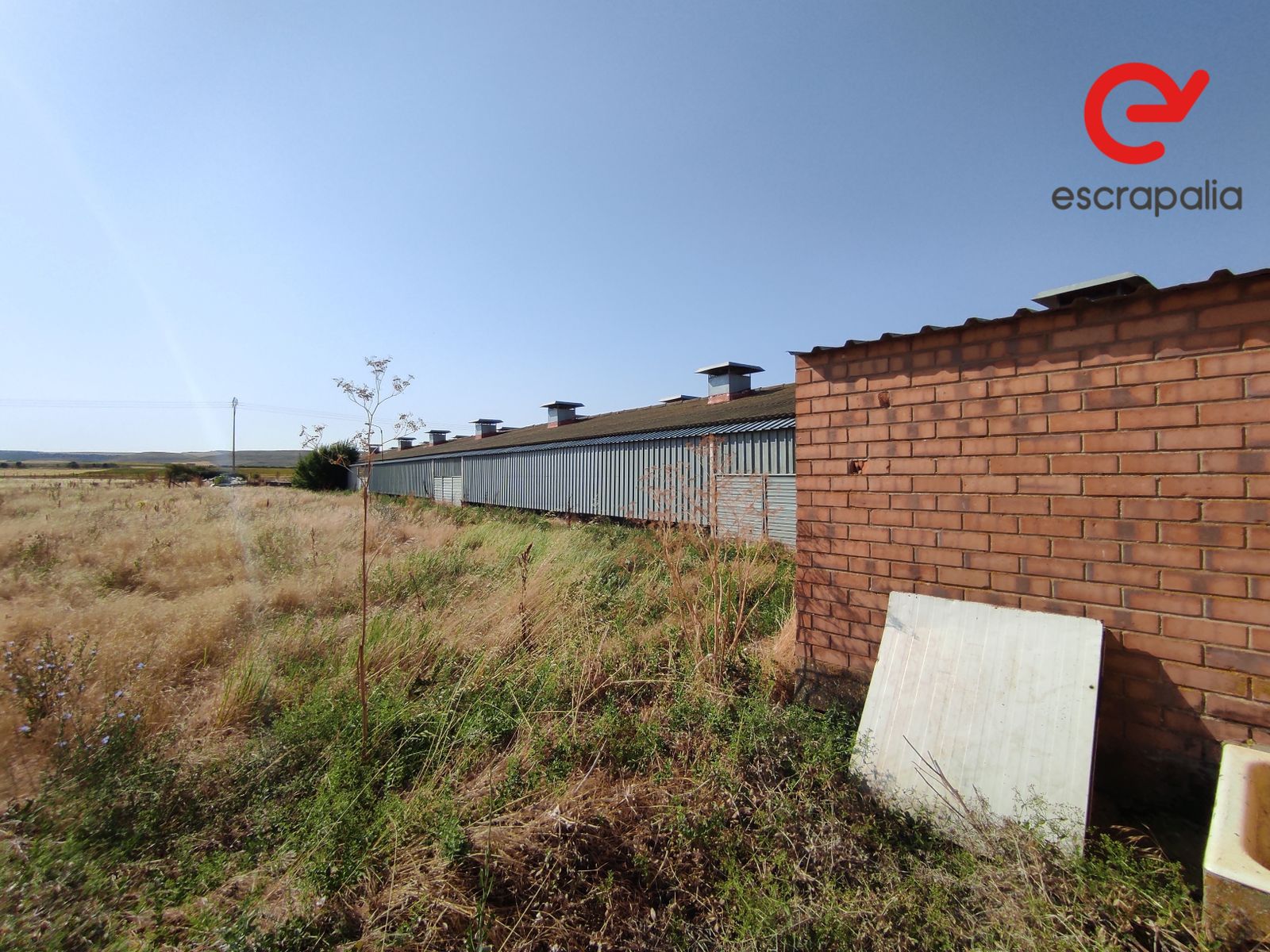 La granja de 43.000 metros cuadrados a subasta por 1 euro