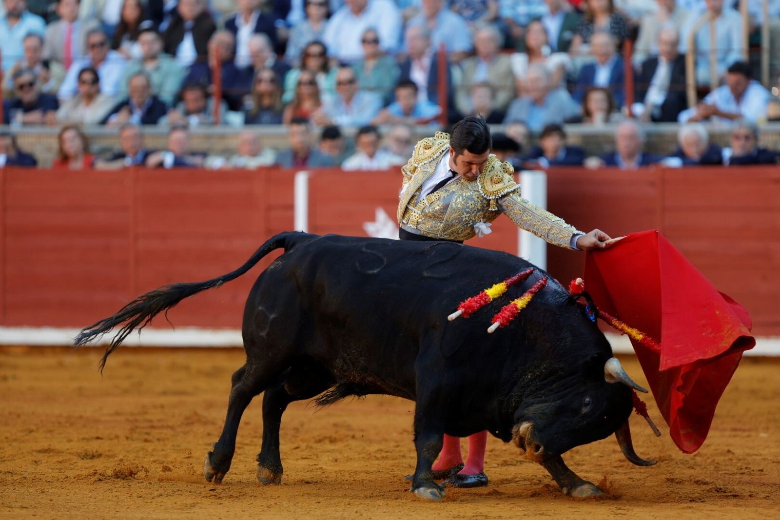 Las mejores fotos de la corrida de Morante, Ortega y Roca Rey en la Feria Taurina de Córdoba