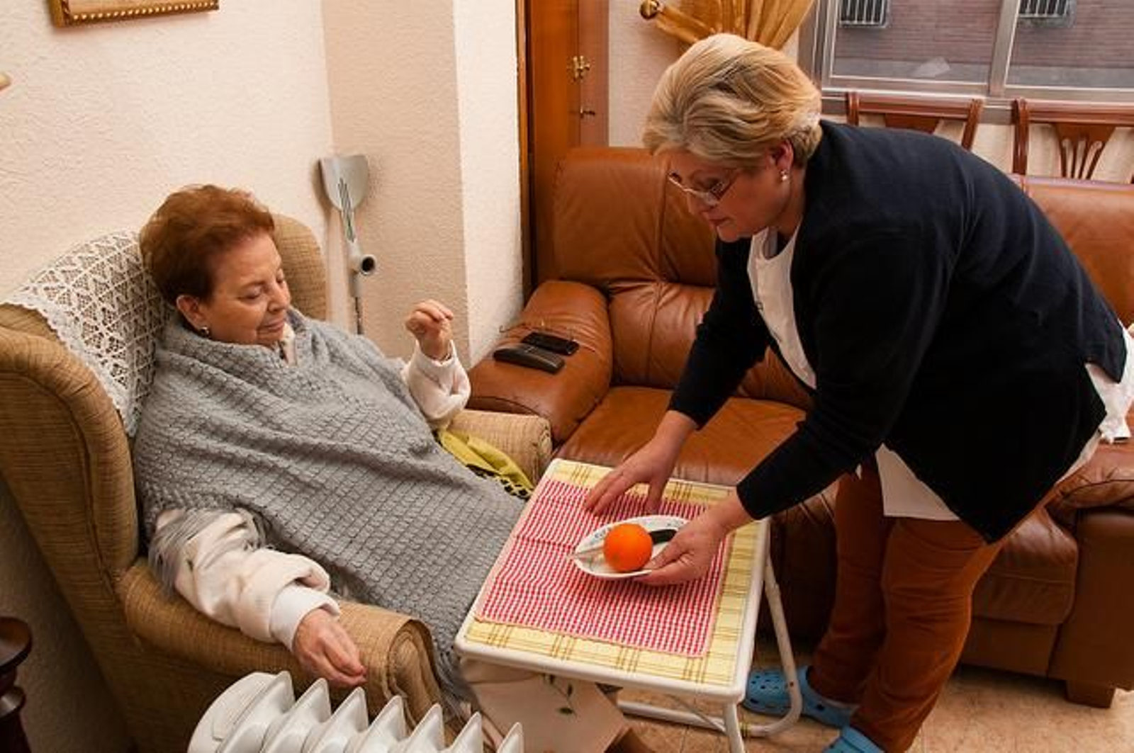 Asistencia a domicilio