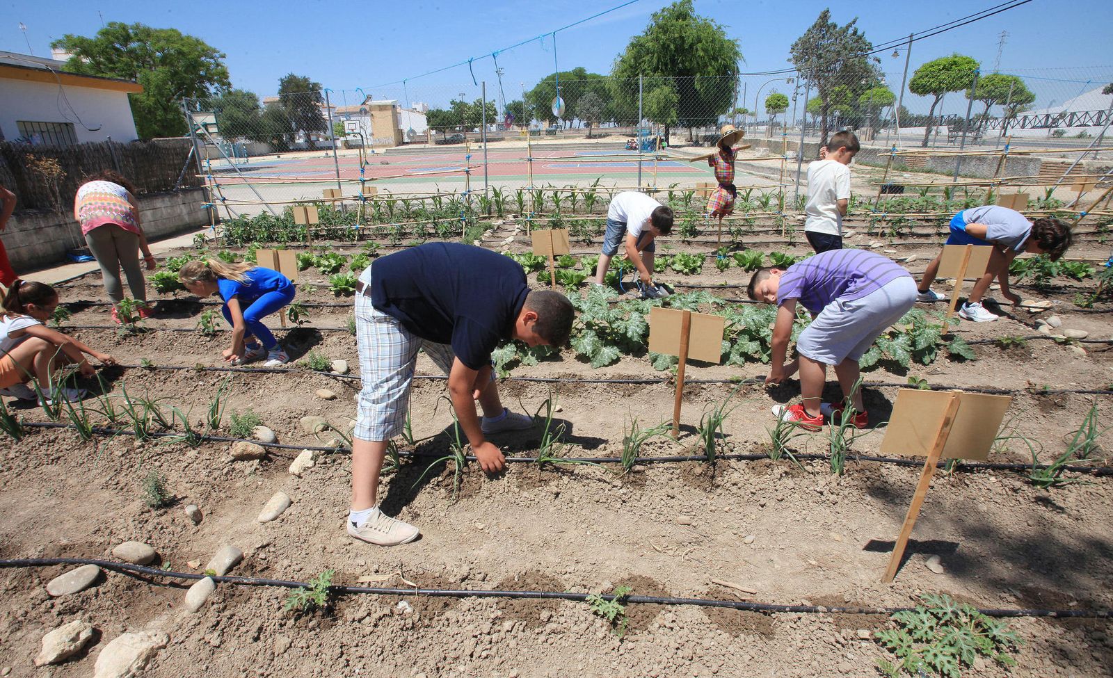 Alumnos participantes en el programa Aldea.