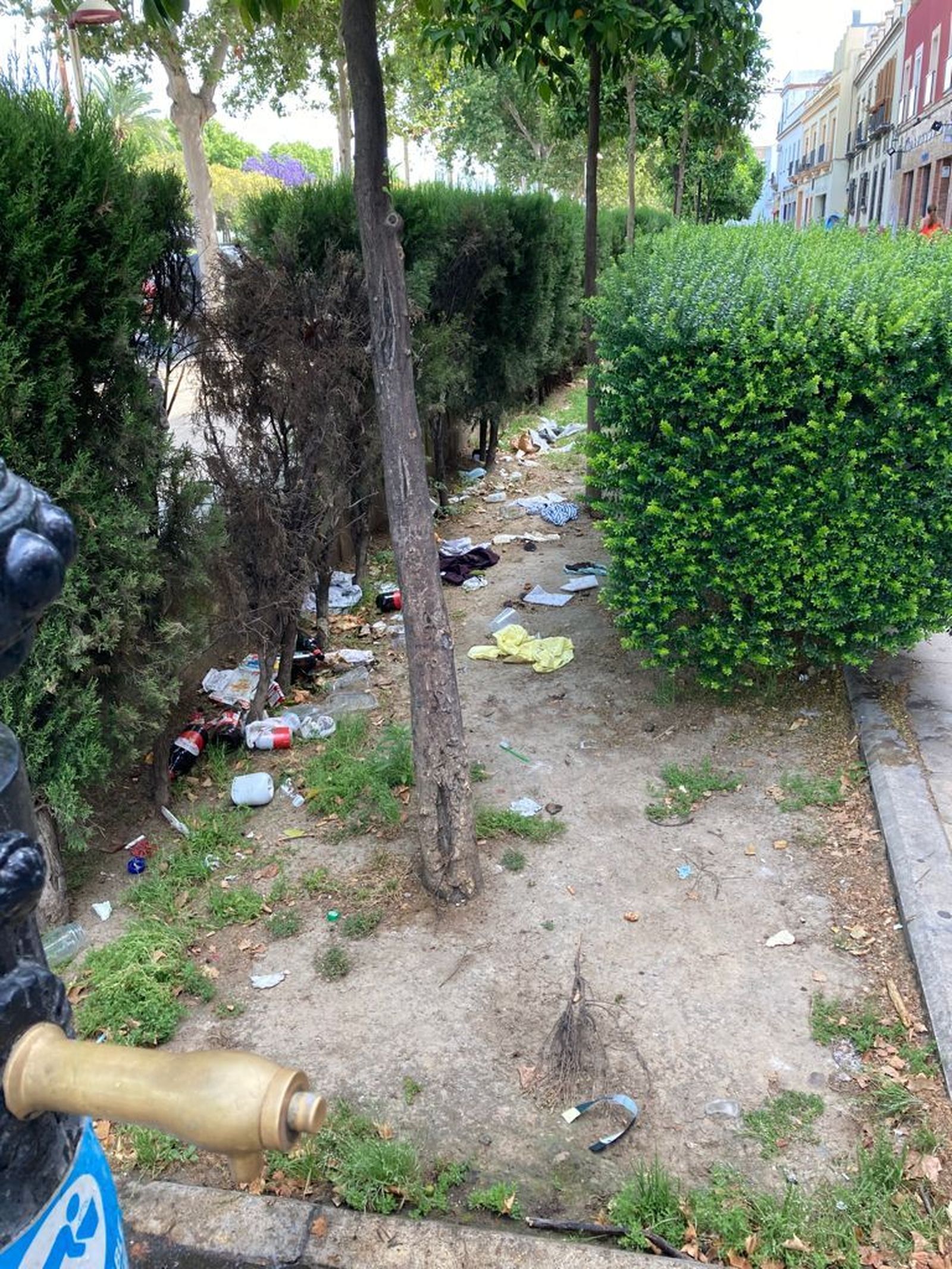 Suciedad en los jardines de Torneo.