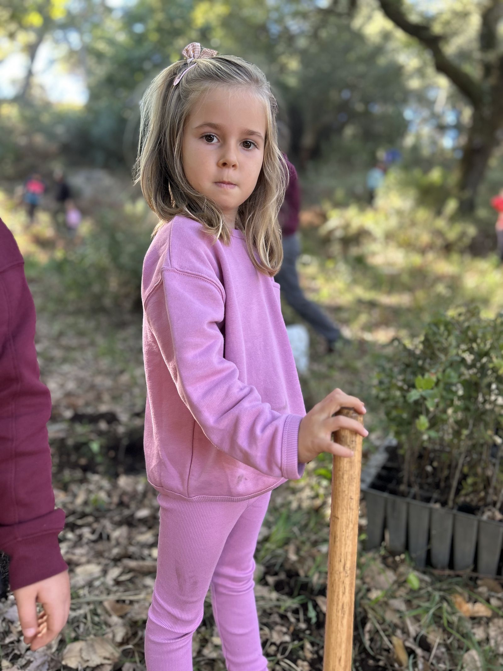Jornada de reforestación en El Palancar por trabajadores de Acerinox, en imágenes