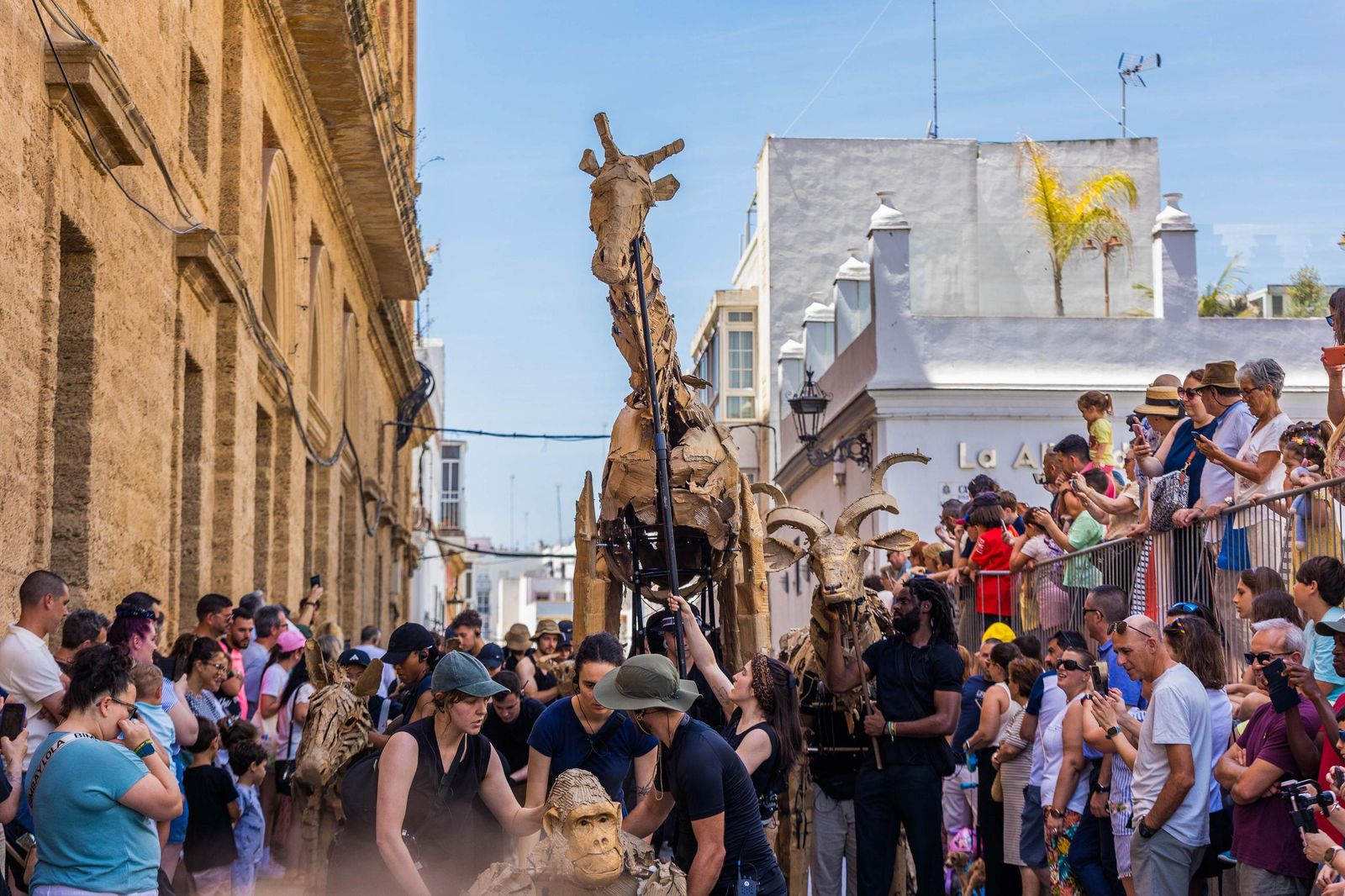 Las imágenes de 'La estampida' en San Fernando