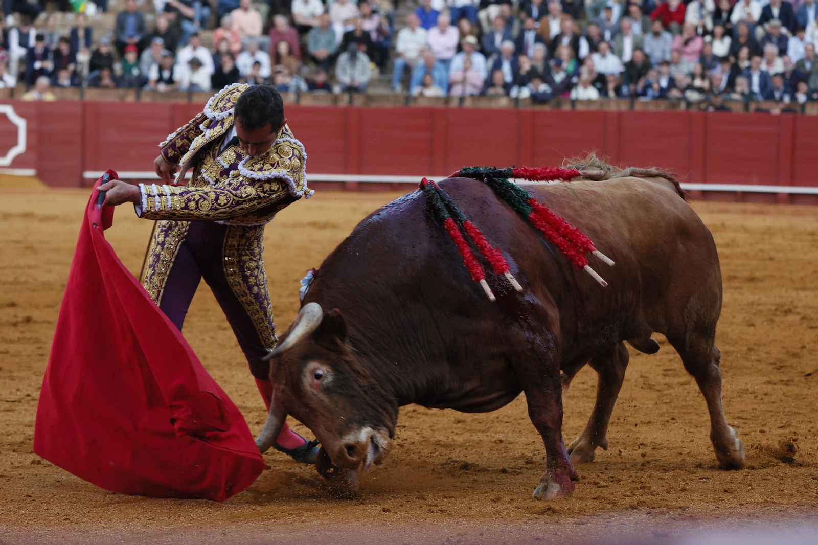 Las Imágenes del festejo