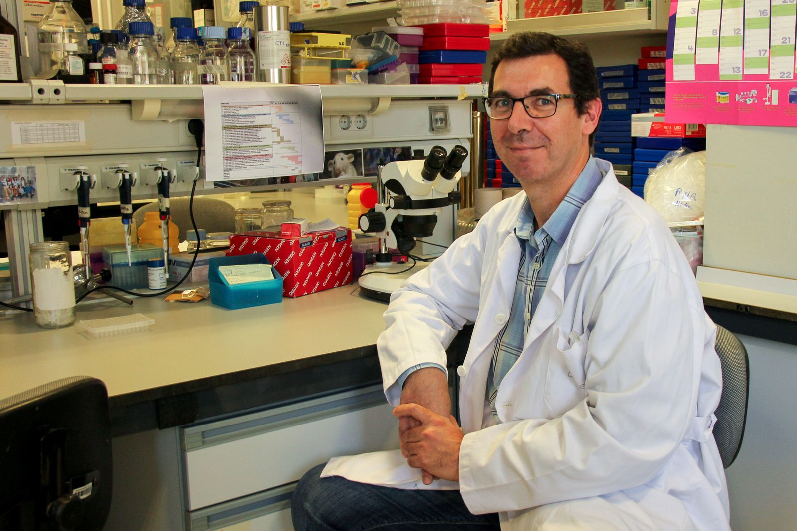 José Manuel Mellado Gil en el laboratorio del Cabimer donde trabaja.