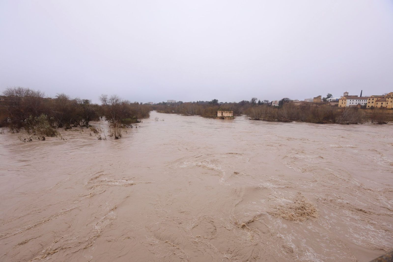 Así pasa el río Guadalquivir este lunes por Córdoba