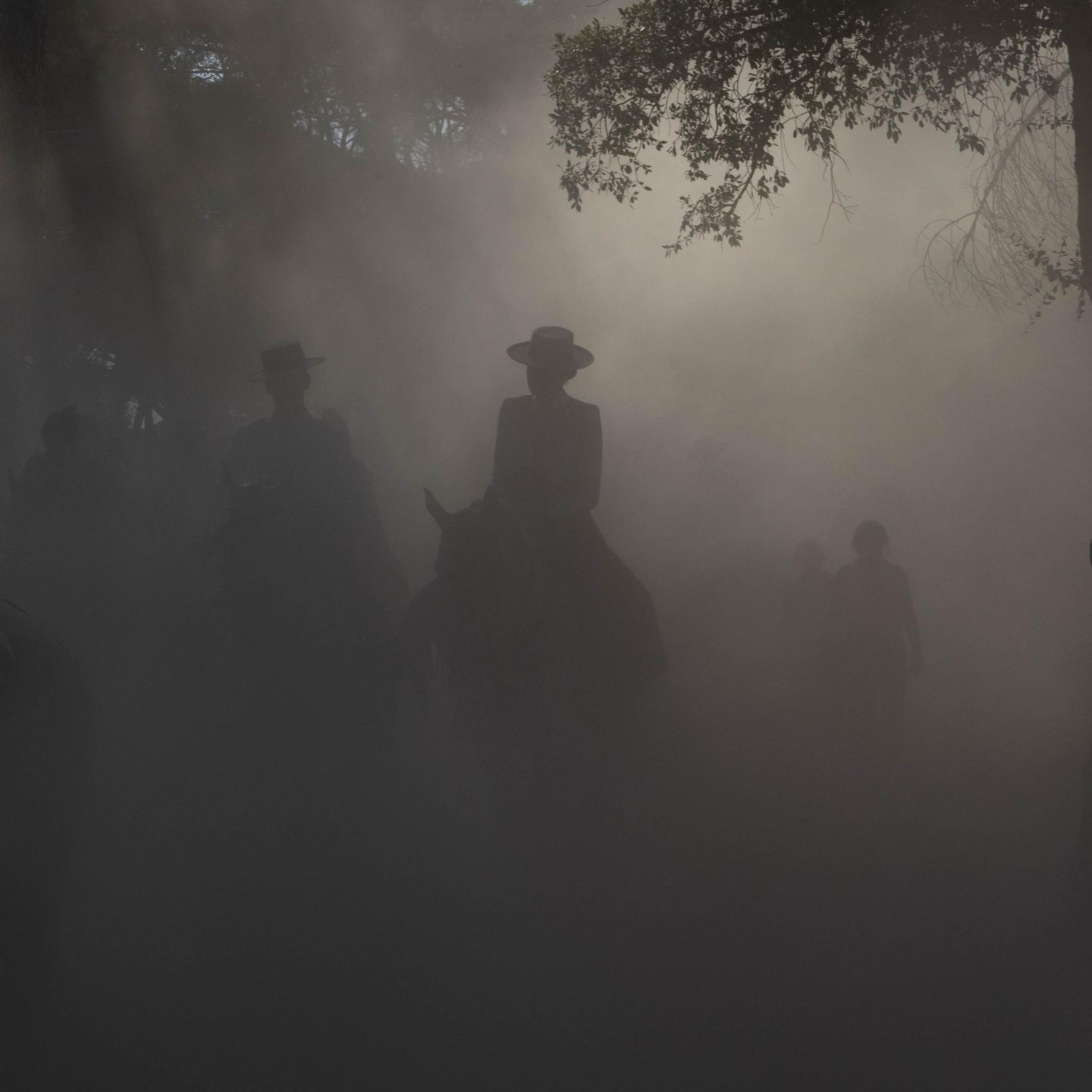 Las mejores imágenes de la Hermandad del Rocío de Huelva