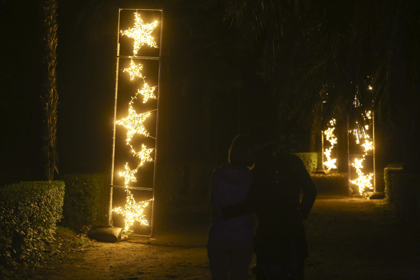 Las luces del Jardín Botánico de Málaga esta Navidad, en fotos