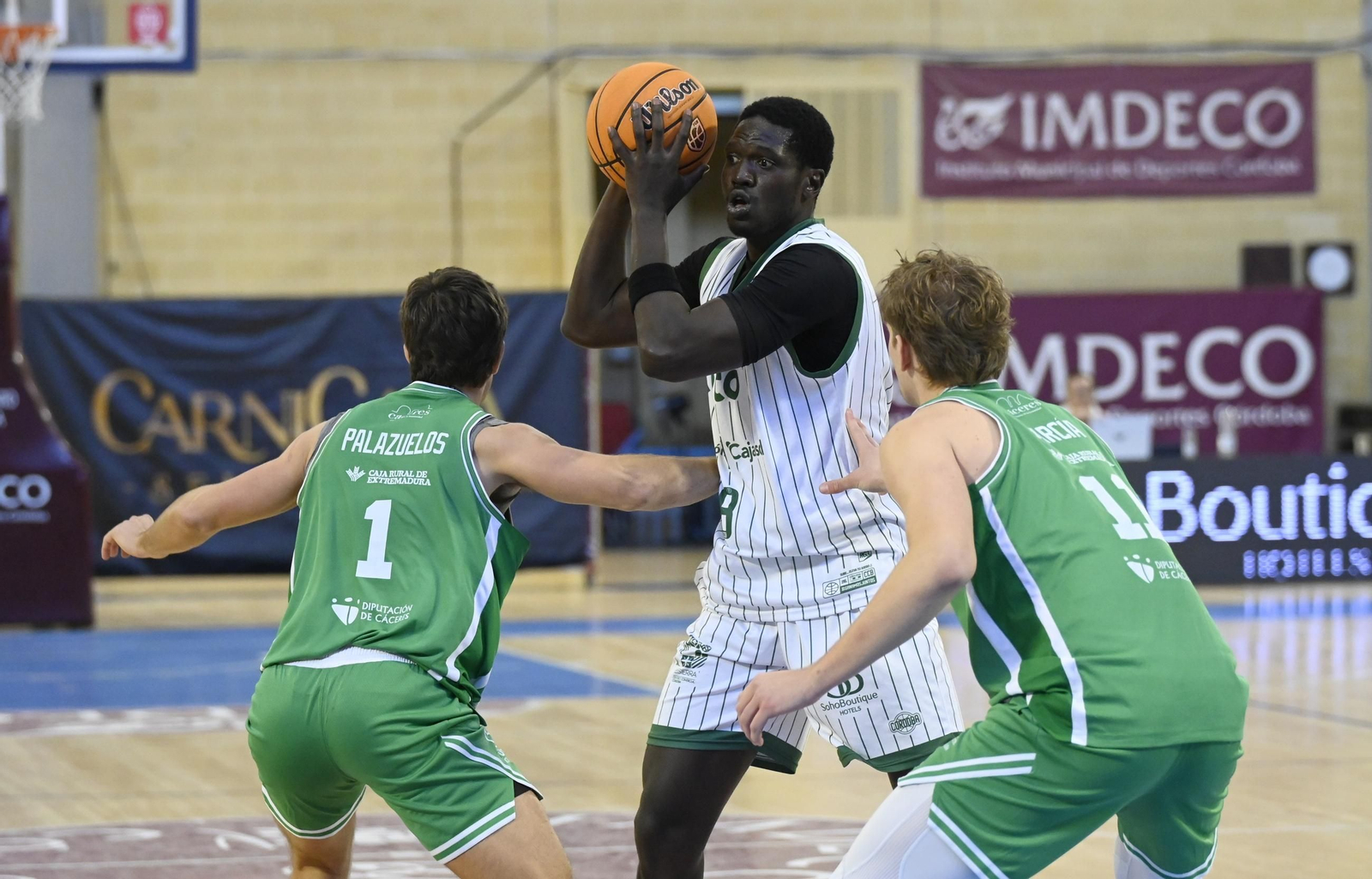 Las mejores fotos del ambiente en el Coto Córdoba - Cáceres Patrimonio de la Humanidad