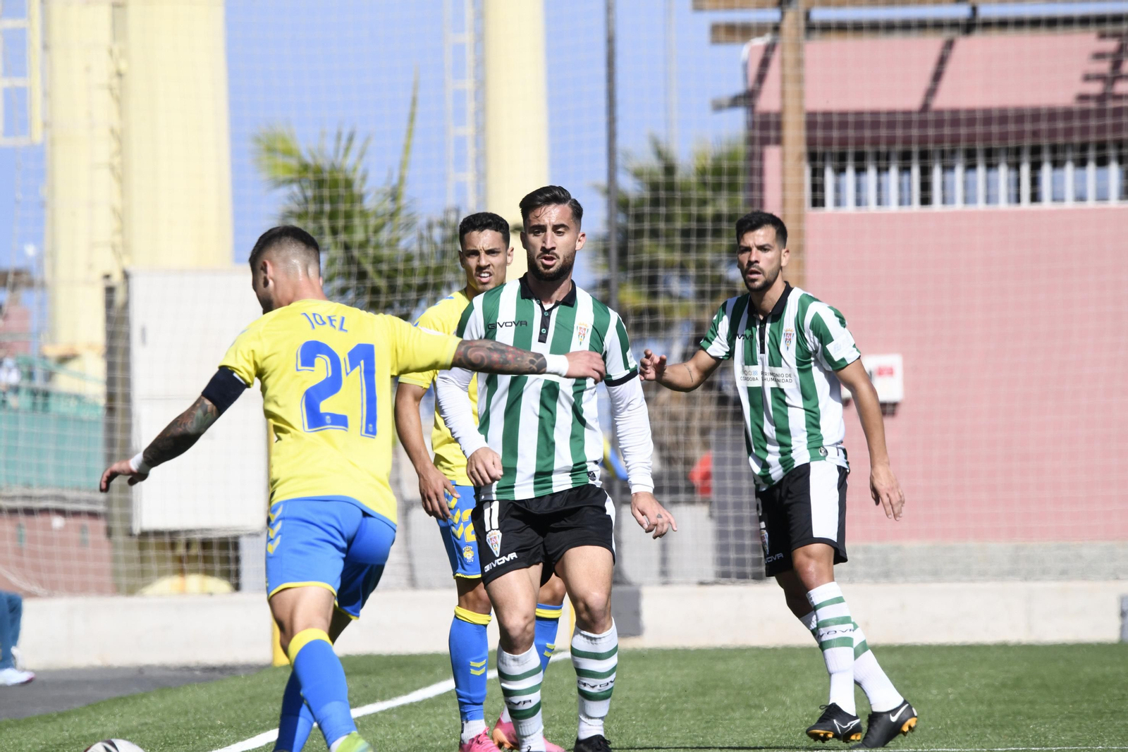 Las imágenes del empate del Córdoba CF ante Las Palmas Atlético