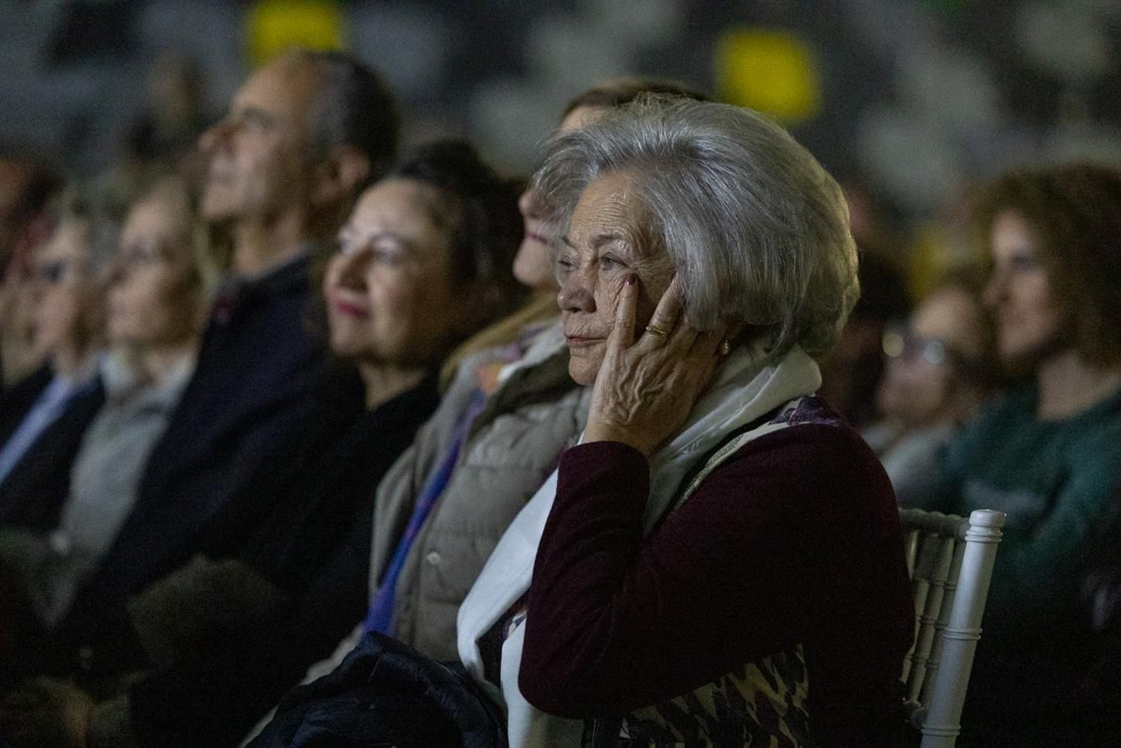 Así se disfruta en Jaén del concierto de Raphael, "Raphaelísimo"