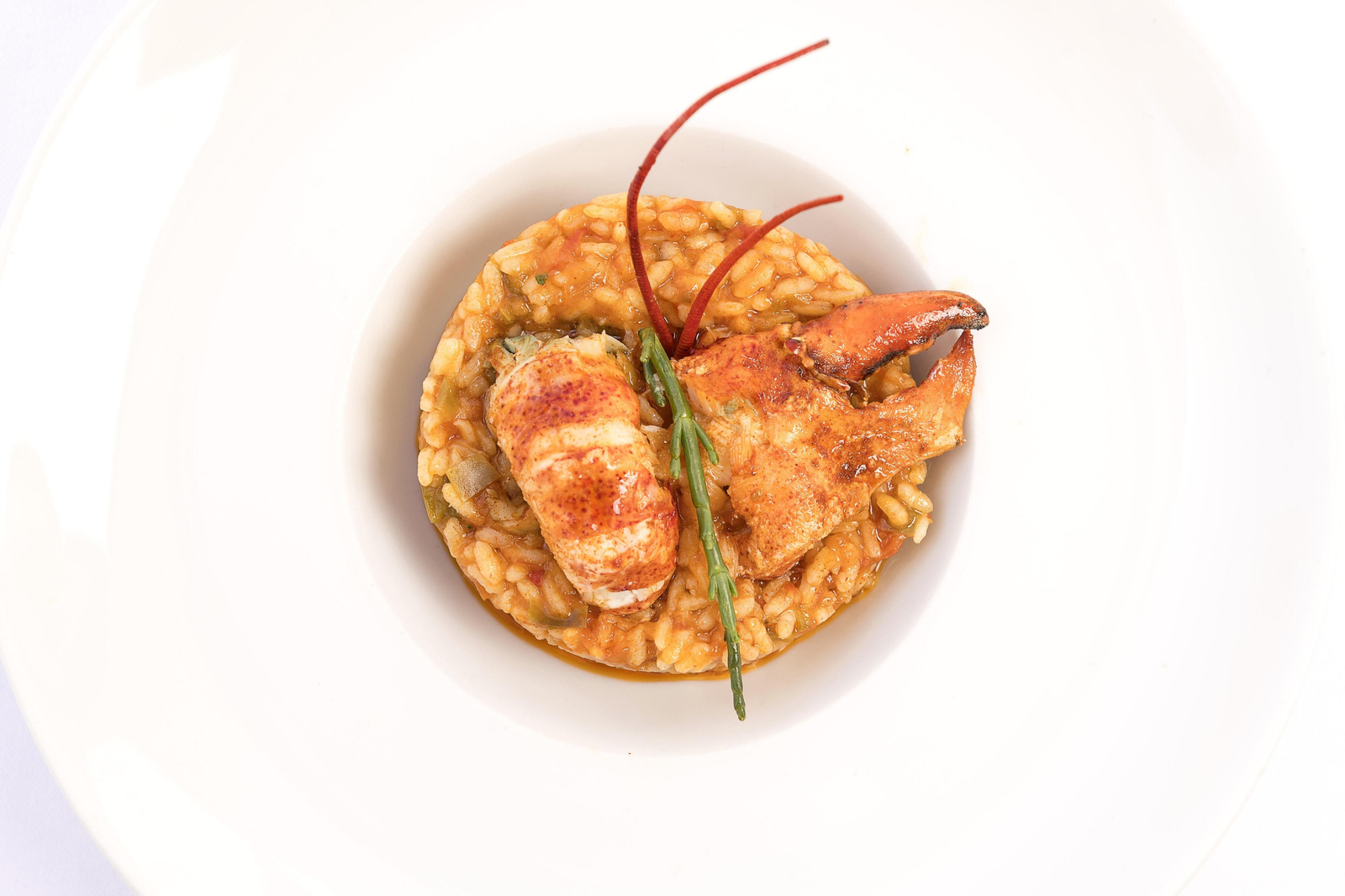 Arroz con bogavante
