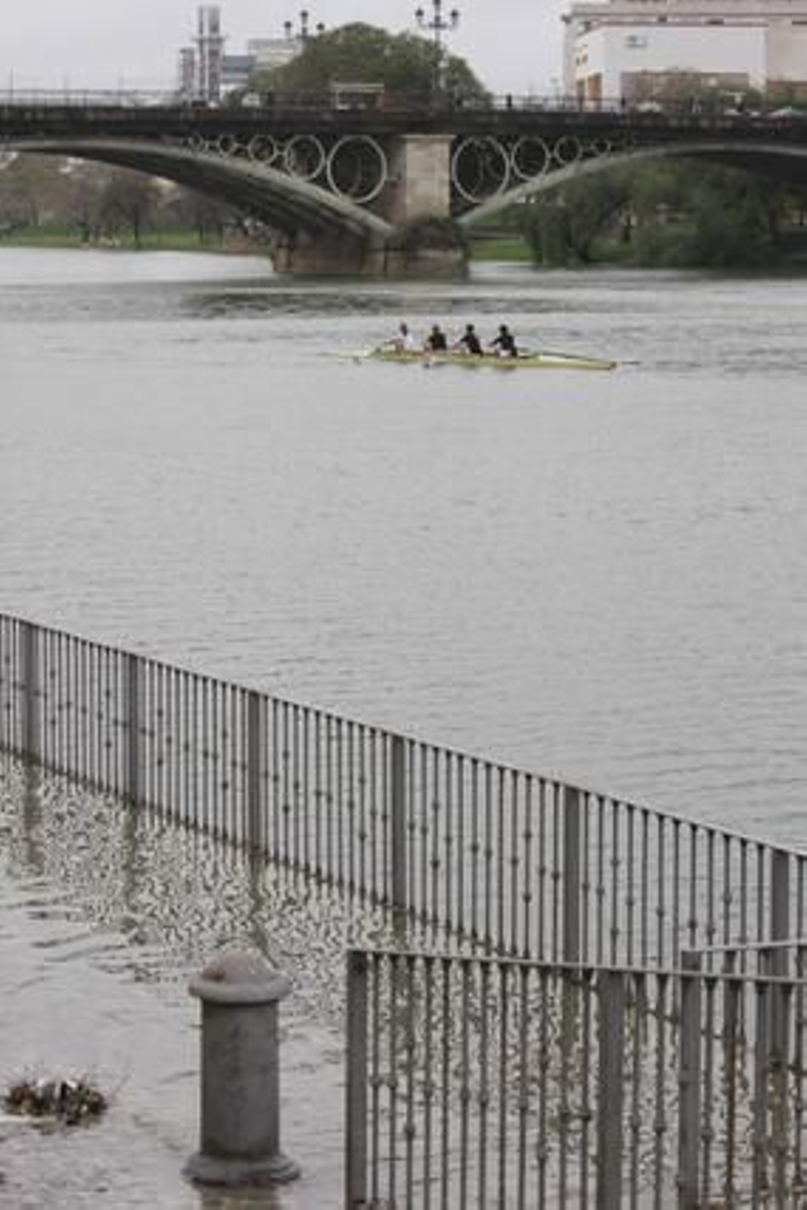 El agua del Guadalquivir cubre las zonas más bajas del embarcadero de la calle Betis en Triana.

Foto: B.Vargas