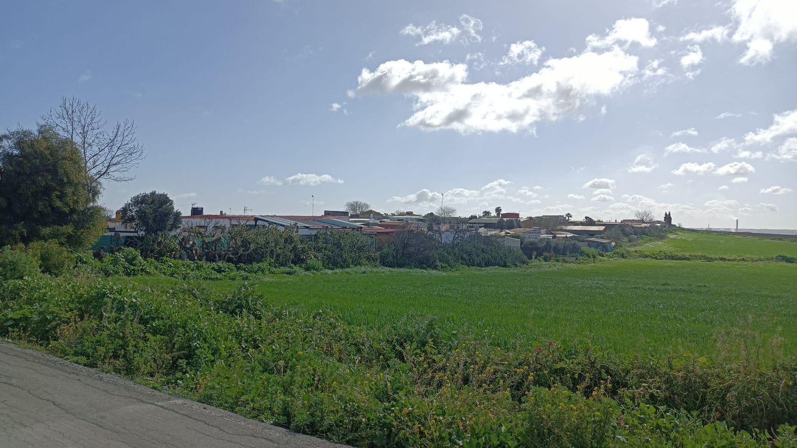 El asfalto acaba tras pasar junto a las parcelas de El Palmar.