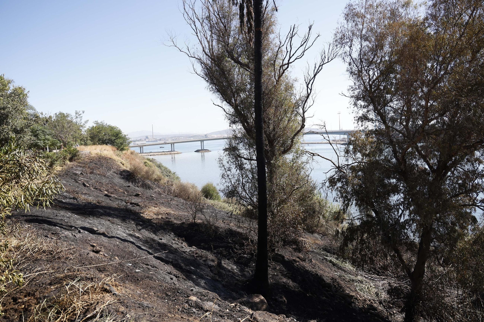 Así ha quedado la zona quemada por el incendio en el Paseo de la Cornisa de Algeciras