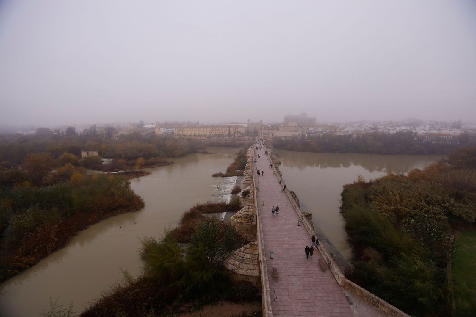 Córdoba amanece bajo la niebla el último día de 2025, en fotos