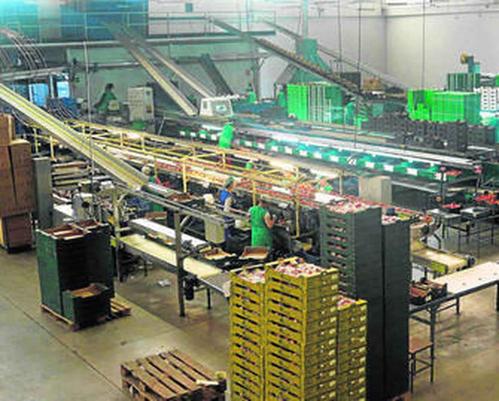 Una trabajadora en el almacén de Bio Sol Portocarrero..