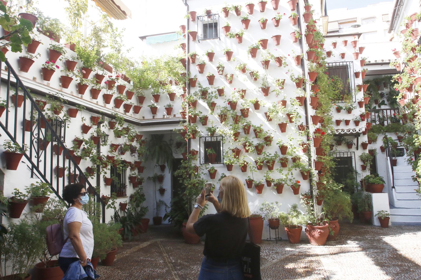 Las fotografías de los Patios de Córdoba en otoño