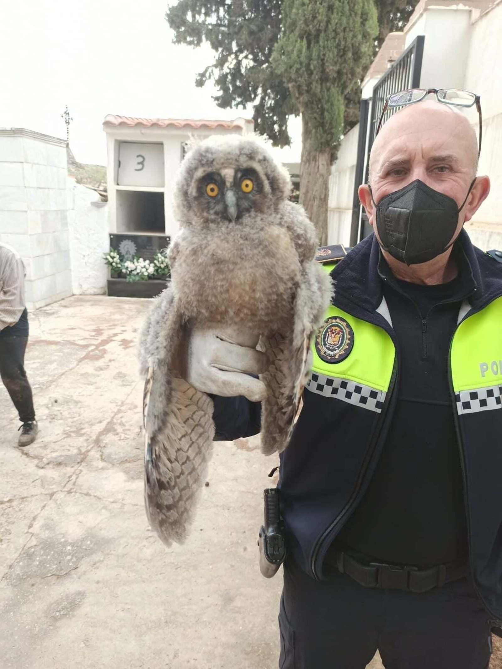 Ejemplar rescatado, en la imagen difundida por la Policía Local de Íllora.