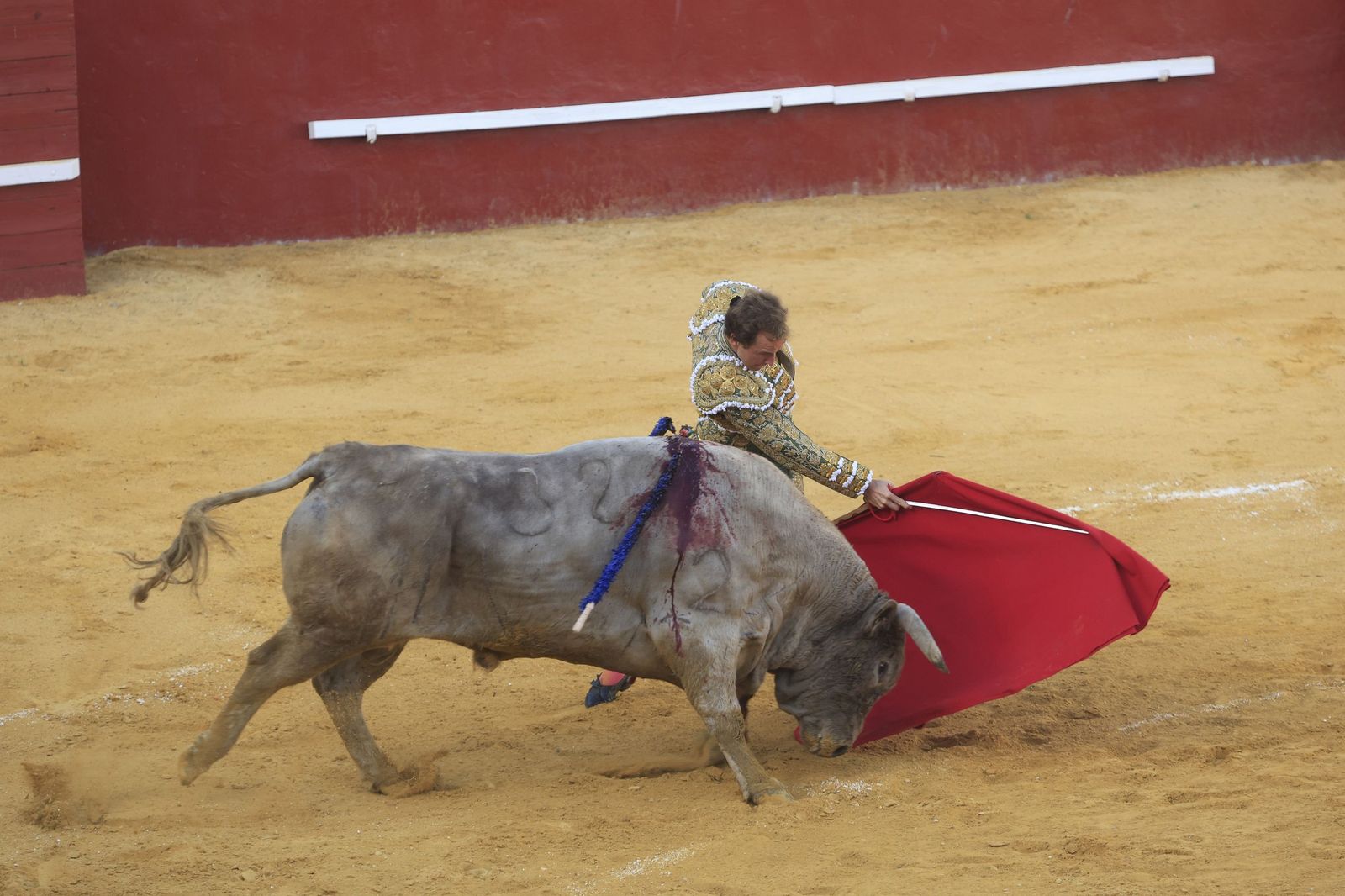 Fotos de la corrida de toros de la Feria de San Roque con David Galván, Román y Joaquín Galdós