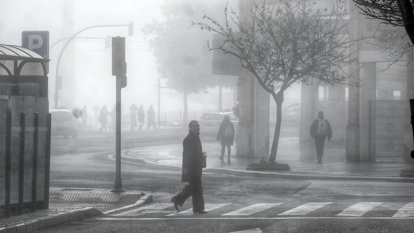 La niebla invade Cádiz
