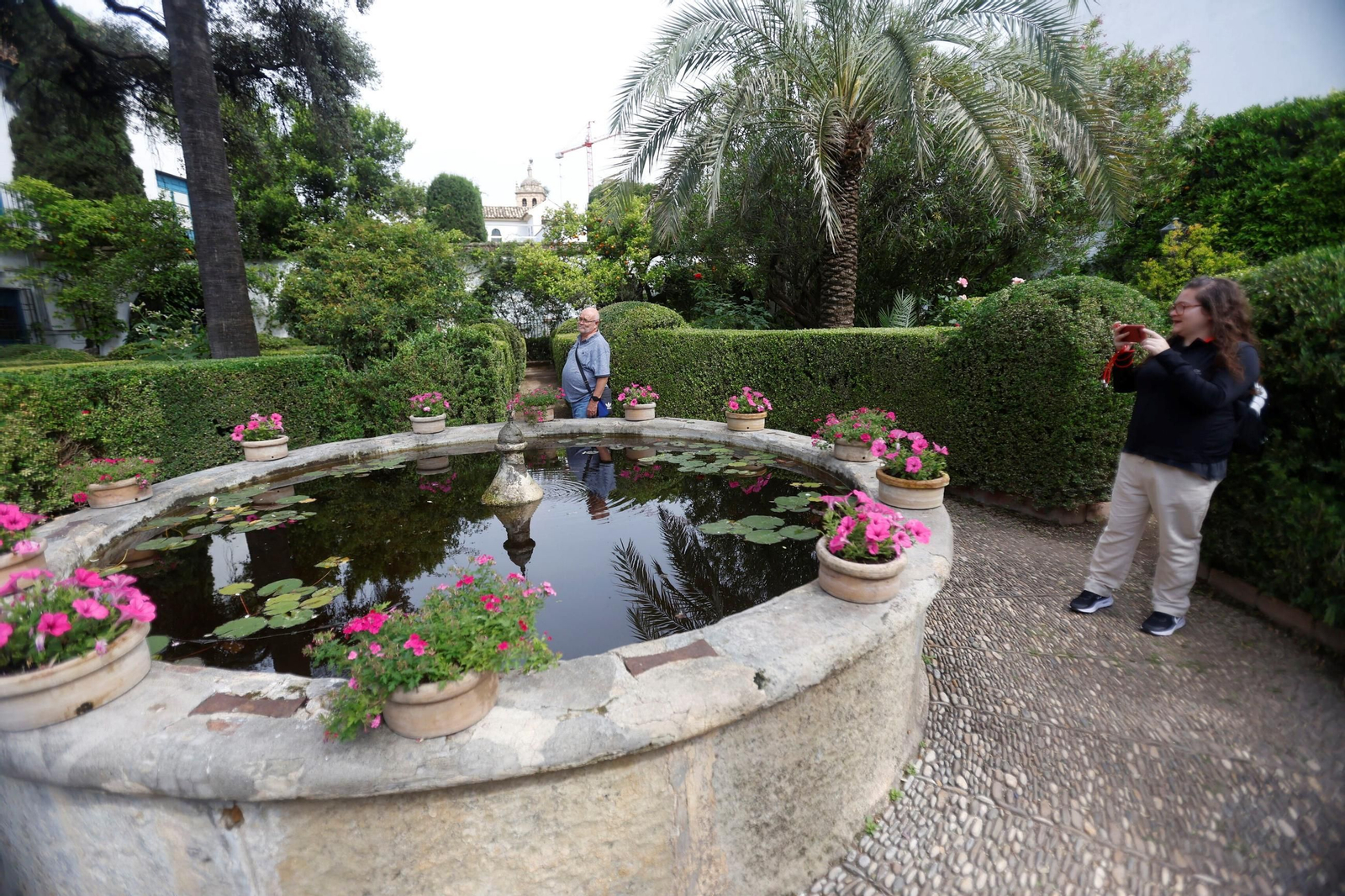 Los Patios del Palacio de Viana, en imágenes