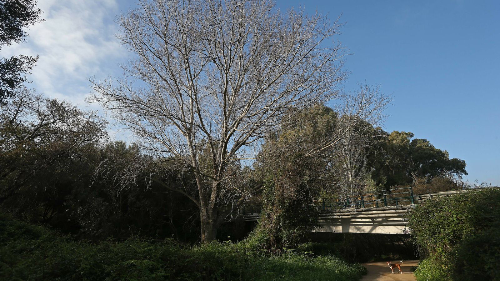 Las mejores fotos del parque fluvial del Río Pícaro