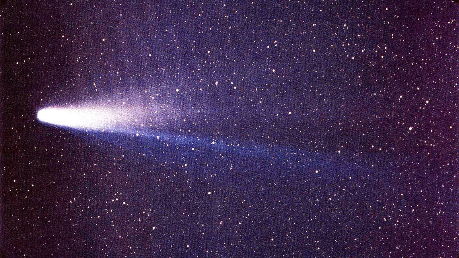 El cometa Halley.
