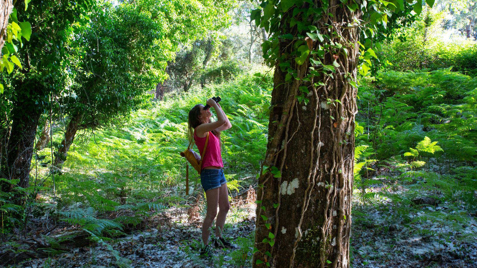 En Huelva encontramos muchas rutas senderistas.
